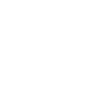 Logo CASH ON DELIVERY.
